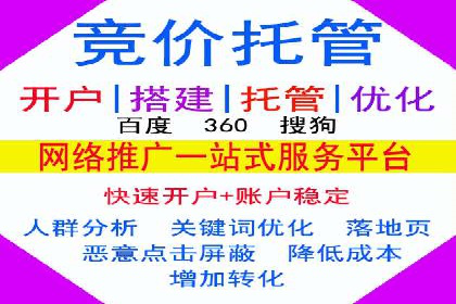 成功运用SEM服务实现品牌推广的案例分析